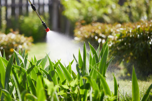 24/7 Emergency Mosquito Control experts in South Fulton, GA