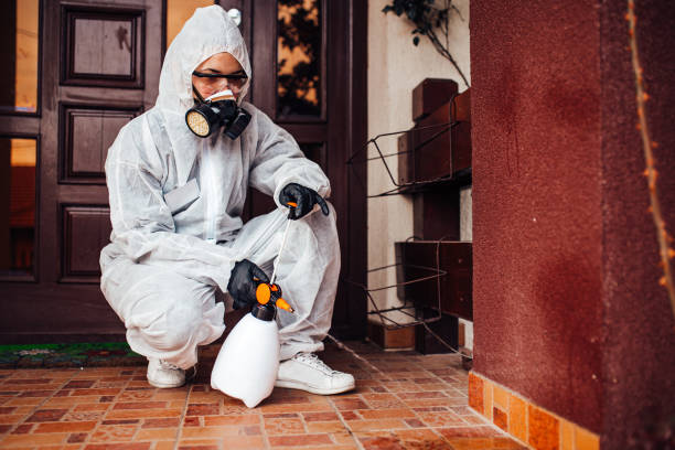 Reliable Mosquito Control contractor in South Fulton, GA by Show Me Pest Control